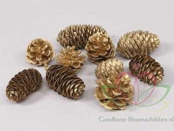 Dennenappel Ray Cones Goud 500 gram, Ophalen of Verzenden, Nieuw
