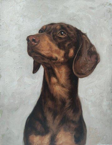 Cirezzi - Retrato de Teckel al Óleo