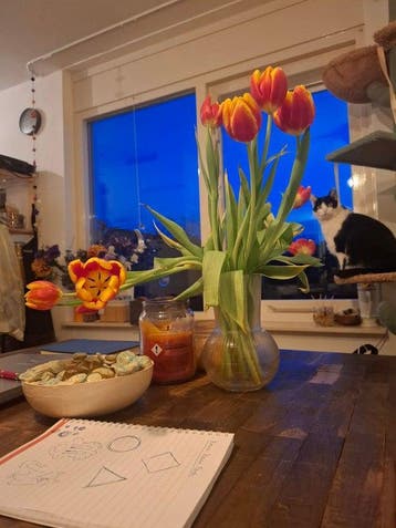 Te huur: Appartement Dukaat in Dronten, Flevoland, Appartement, Dronten