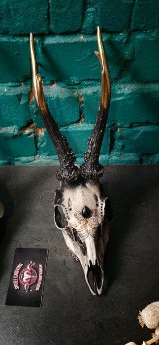 Ree Schedel - Caproleus caproleus - 30 cm - 11 cm - 10 cm -