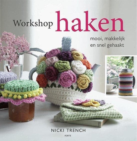 Boek Workshop Haken 9789058779663, Boeken, Overige Boeken, Zo goed als nieuw, Verzenden