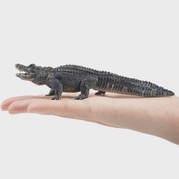Realistische Alligator Speelfiguur - Wildlife Model voor Kin