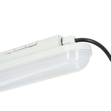Led TL-armatuur | Nedis | 120 cm (44W, 4840lm, 4000K, IP65), Verzenden, Nieuw