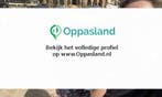 Pien zoekt een oppas in Amsterdam voor 2 kinderen op dins..., Vacatures, Vacatures | Juridisch en Fiscaal