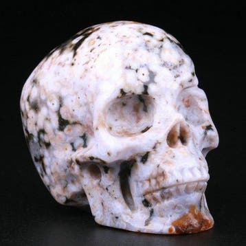 87 g 5.10 x 3.90 cm Oceaanjaspis schedel groene oertijd