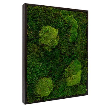 Vintlux Mosschilderij Lappenmos-Bolmos Zwart - Viborg, Huis en Inrichting, Woonaccessoires | Wanddecoraties, Nieuw