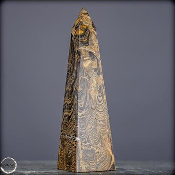 Natuurlijke stromatolietobelisk met een uitzonderlijke