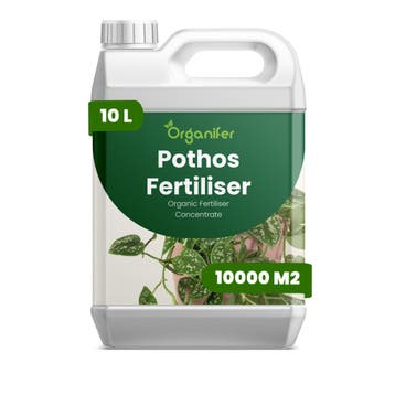 Pothos vloeibare meststof - 10 liter, Verzenden, Mest