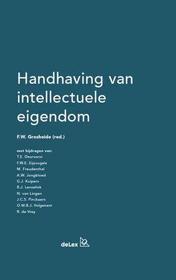 Handhaving van intellectuele eigendom 9789086920464, Zo goed als nieuw