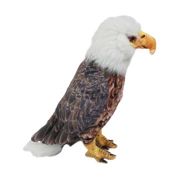 Arend knuffel - pluche - bruin/wit - 28 cm - roofvogel, Verzenden, Nieuw
