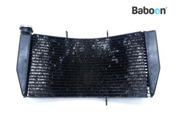 Radiateur Honda CBR 900 RR Fireblade 2002-2003 (CBR900RR, Verzenden, Gebruikt