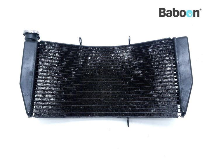 Radiateur Honda CBR 900 RR Fireblade 2002-2003 (CBR900RR, Motoren, Onderdelen | Honda, Gebruikt, Verzenden
