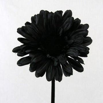 Gerbera Zwart Zijdenbloem 54 cm per stuk, Ophalen of Verzenden, Nieuw