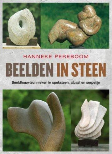 Beelden in steen - Hanneke Pereboom 9789058779175, Verzenden, Zo goed als nieuw, Hanneke Pereboom