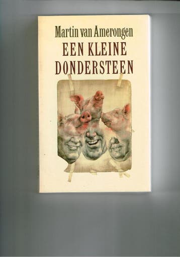 Een kleine dondersteen 9789029500777 Amerongen, Verzenden, Gelezen, Amerongen