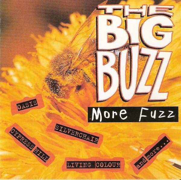 cd - Various - The Big Buzz: More Fuzz, Cd's en Dvd's, Cd's | Overige Cd's, Zo goed als nieuw, Verzenden
