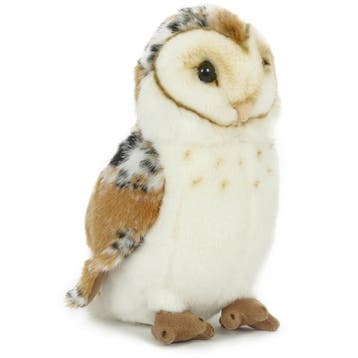 Kerkuil knuffel - pluche - 20 cm - vogel knuffel, Verzenden, Nieuw