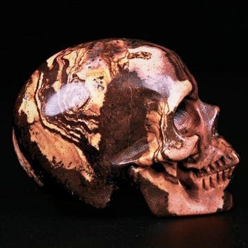 100 g „Sacred Mountain Outback Jaspis-Skull · Tengriïsme ·
