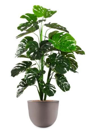 Monstera kunstplant, H130cm, Huis en Inrichting, Ophalen of Verzenden, Overige soorten, 100 tot 150 cm