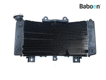 Radiateur Husqvarna Svartpilen 401 2024, Verzenden, Gebruikt