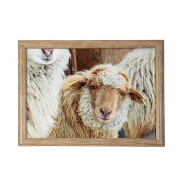 schootkussen schaapjes beige 43cm, Huis en Inrichting, Verzenden, Nieuw