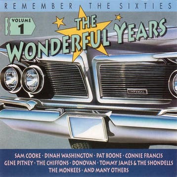 cd - Various - Remember The Sixties - The Wonderful Years..., Verzenden, Zo goed als nieuw