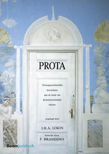 9789462906624 Boom Juridische studieboeken - Prota, Boeken, Schoolboeken, Verzenden, Zo goed als nieuw, J.H.A. Lokin