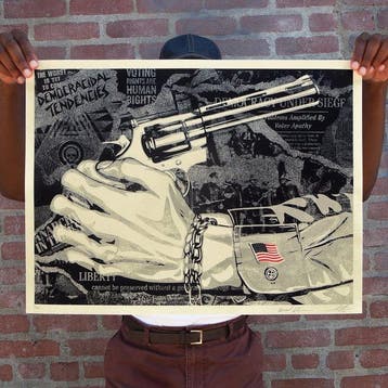 Shepard Fairey (OBEY) (1970) - Democracidal Tendencies
