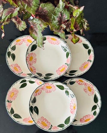 Villeroy & Boch - Bord (6) - wild rose - Porselein