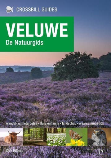 Veluwe / Crossbill guides / 24 - Dirk Hilbers 9789491648113, Verzenden, Zo goed als nieuw, Dirk Hilbers