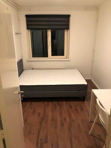 Kamer te huur in Amsterdam - 12 m² - 1 kamer(s), Amsterdam