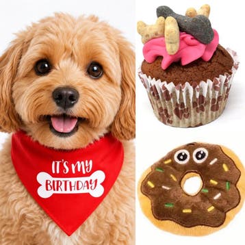 3-delige honden snack-, cadeau- en decoratie set Dog Party, Ophalen of Verzenden, Nieuw, Hondenspeelgoed