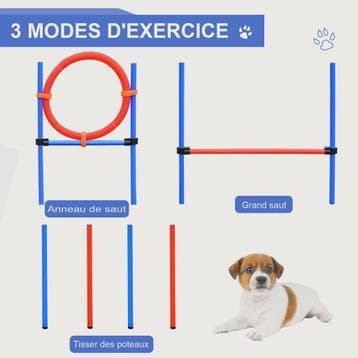 PawHut Agility sport for dogs complete equipment obstacles a, Verzenden, Nieuw