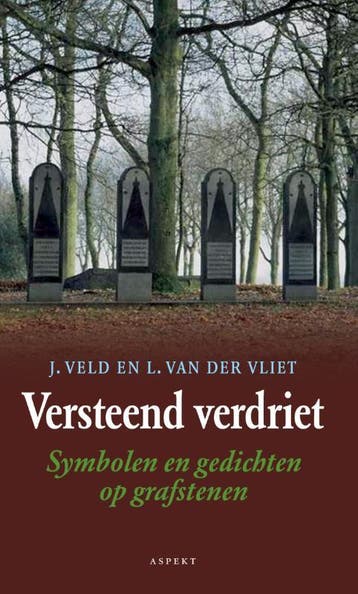 Versteend verdriet 9789059110847 J. Veld, Verzenden, Zo goed als nieuw, J. Veld