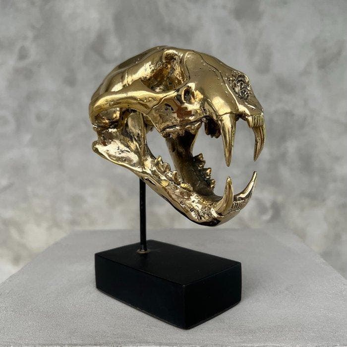 sculptuur, NO RESERVE PRICE - Polished bronze Snow Leopard -, Antiek en Kunst, Kunst | Designobjecten