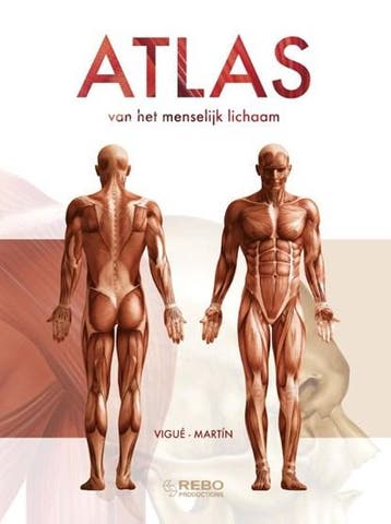 Atlas van het menselijk lichaam | 9789036630658 | Studio, Ophalen of Verzenden, Zo goed als nieuw, Studio Imago
