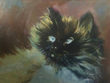 A. Mazzolla (XX) - Ritratto di gatto, Antiek en Kunst
