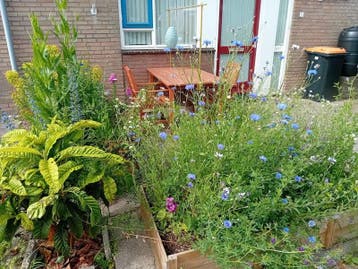 Te huur: Appartement Het Zwammerveld in Valkenburg, Valkenburg, Appartement, Zuid-Holland
