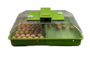 Broedmachine model NAT60H Standaard, Ophalen of Verzenden, Nieuw, Broedmachine