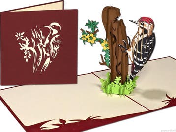 Grote Bonte Specht op boom - Woodpecker vogel 3D-wenskaart, Verzenden, Nieuw