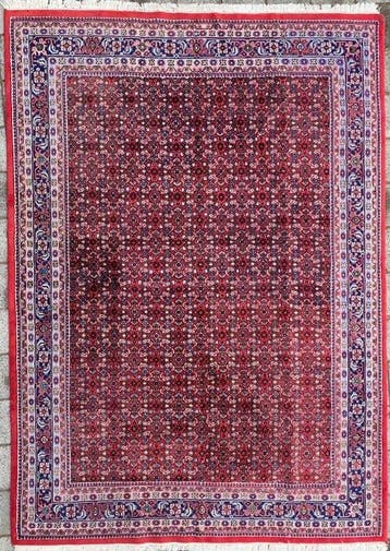 Indo Herati - Tapijt - 353 cm - 254 cm, Nieuw