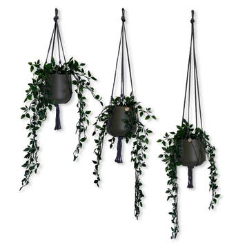 Voordeelset van 3 Plantenhangers - Grijs - 60, 80, en 100, Ophalen of Verzenden, Nieuw