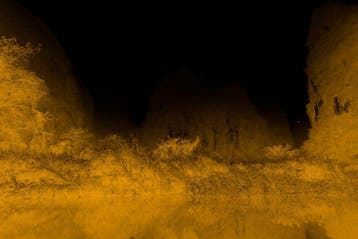 Viet Ha Tran - Echoes in Gold - XL Edition (Hahnemühle Photo