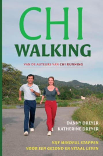 Chi walking - Danny Dreyer 9789069639147, Boeken, Verzenden, Zo goed als nieuw, Danny Dreyer