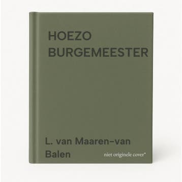 HOEZO BURGEMEESTER - L. van Maaren-van Balen 9789045301433, Verzenden, Gelezen, L. van Maaren-van Balen