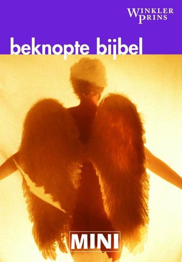 Mini WP Beknopte Bijbel / Mini Winkler Prins - Nelly, Verzenden, Gelezen, Nelly Stienstra