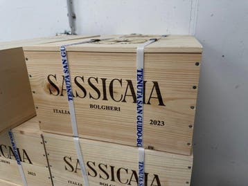 2023 Tenuta San Guido, Sassicaia - Bolgheri DOC - 6 Flessen, Verzamelen, Nieuw