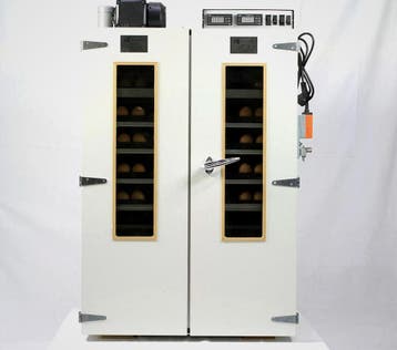 MS Broedmachine MS500 – Slaglatten – 500 eieren, Ophalen of Verzenden, Nieuw