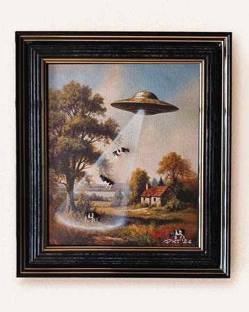 DKT Nando - Pastoral Paranormal - Framed 3D Art, Antiek en Kunst