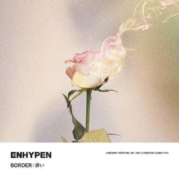 vinyl overige - Enhypen - Border: hakanai (LP Nieuw), Verzenden, Zo goed als nieuw